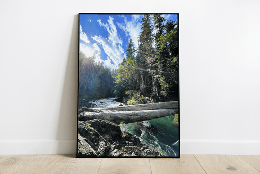 Olympic National Park River Washington Print